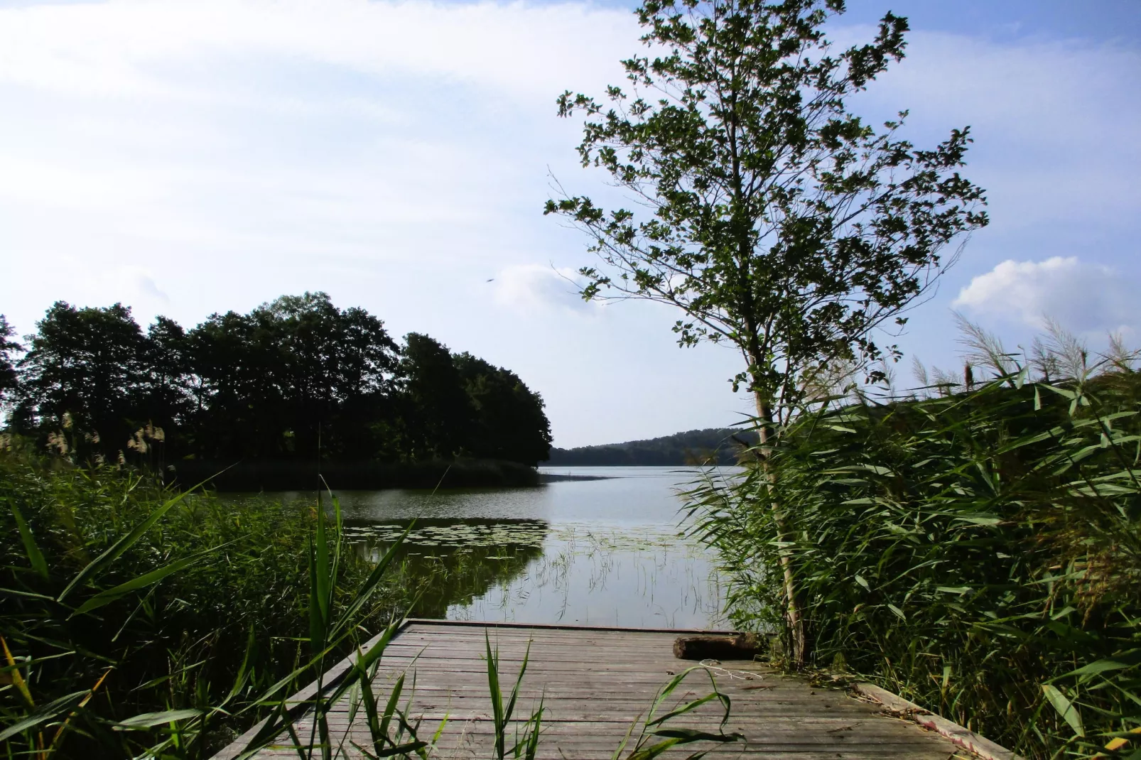 Holiday accomodations Kolczewo Nr 5-Areas within 1km in summer