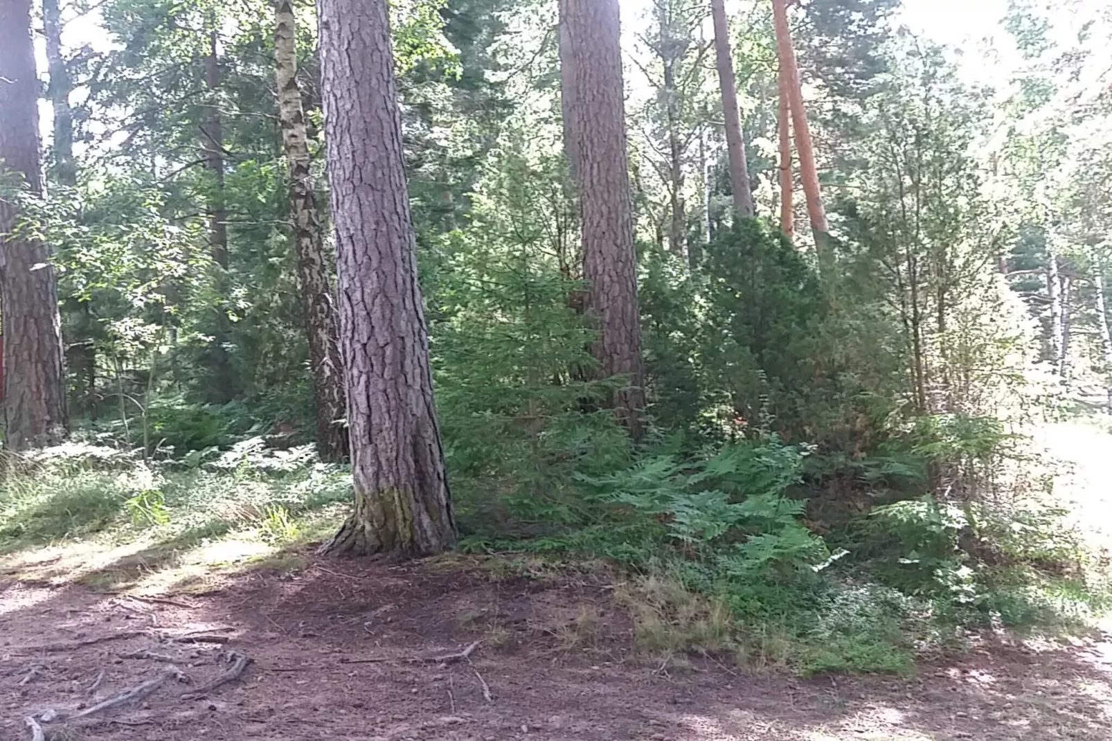 6 Personen Ferienhaus in SÄFFLE-By Traum-Nicht zugeordnet