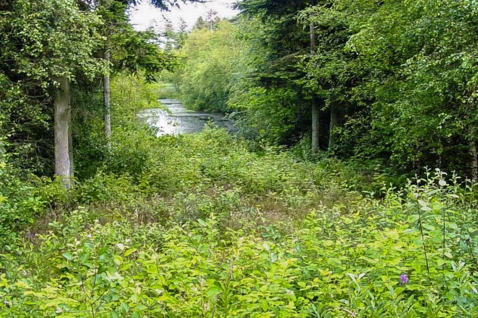 Maison de vacances pour 4 a Aars-By Traum-Non tagué