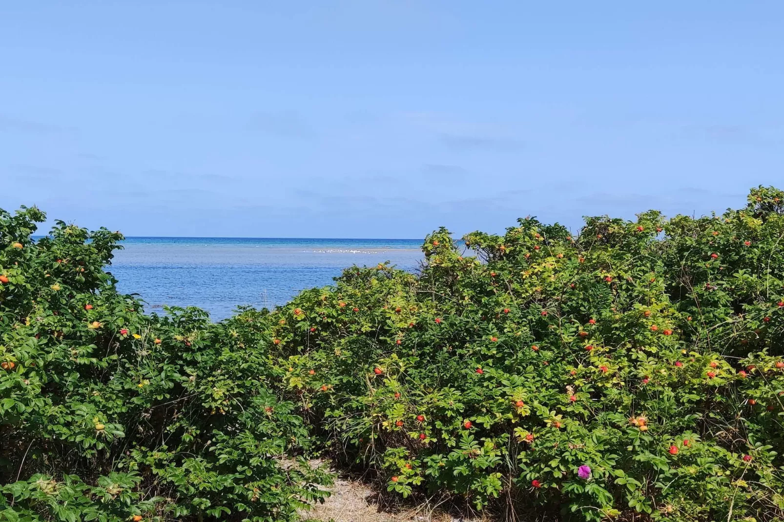 Maison de vacances pour 6 a Grenaa-By Traum-Non tagué