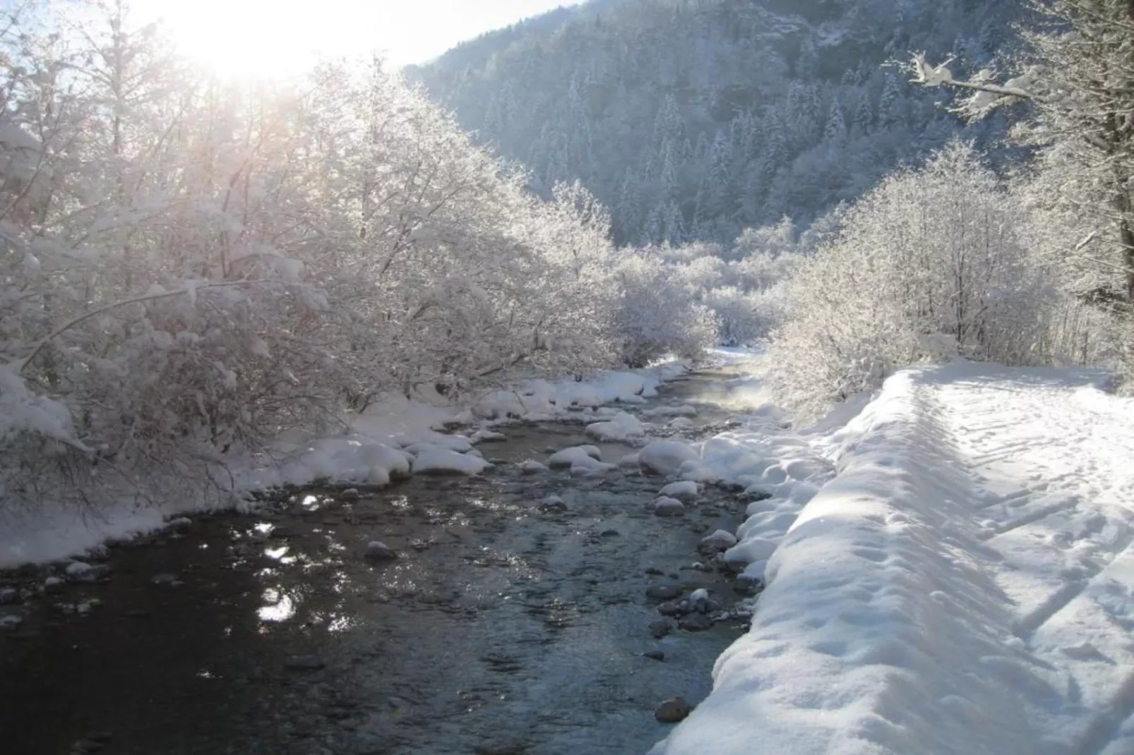 Résidence Club Samoëns Village 6-Area within 20km in winter