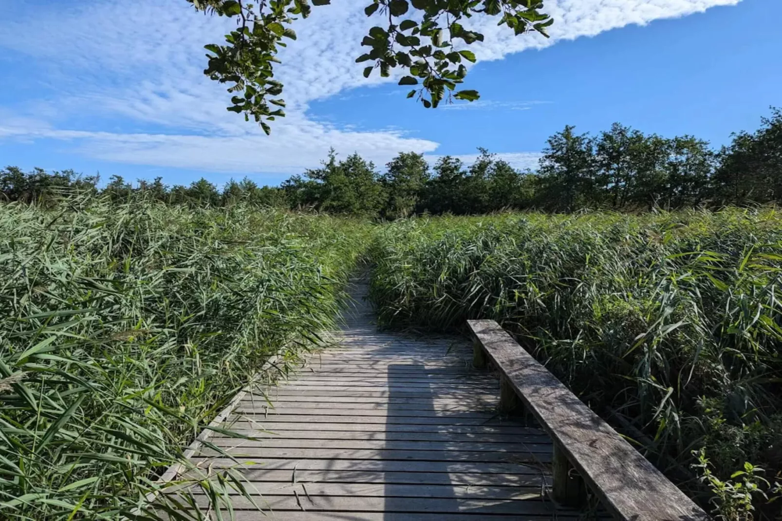 Maison de vacances pour 4 a Frederiksværk-By Traum