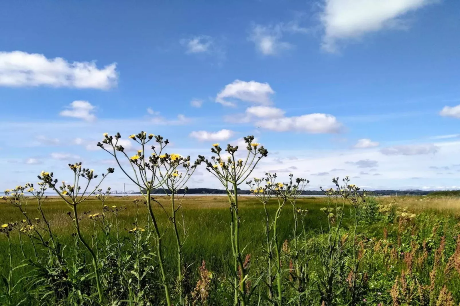 6 person holiday home in Rønde-By Traum