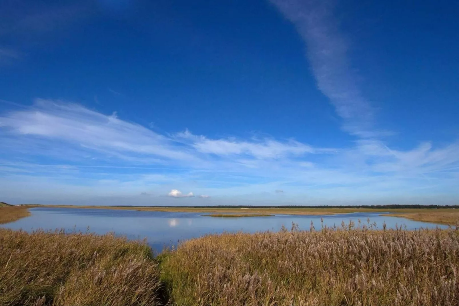 6 person holiday home in Blåvand