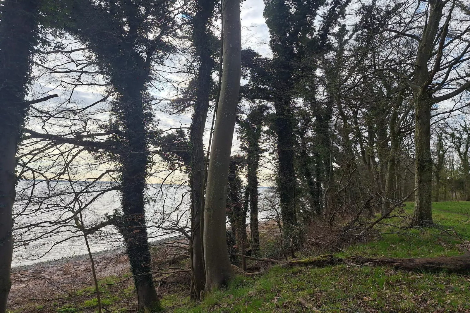 4 person holiday home in Kalvehave-By Traum-Untagged