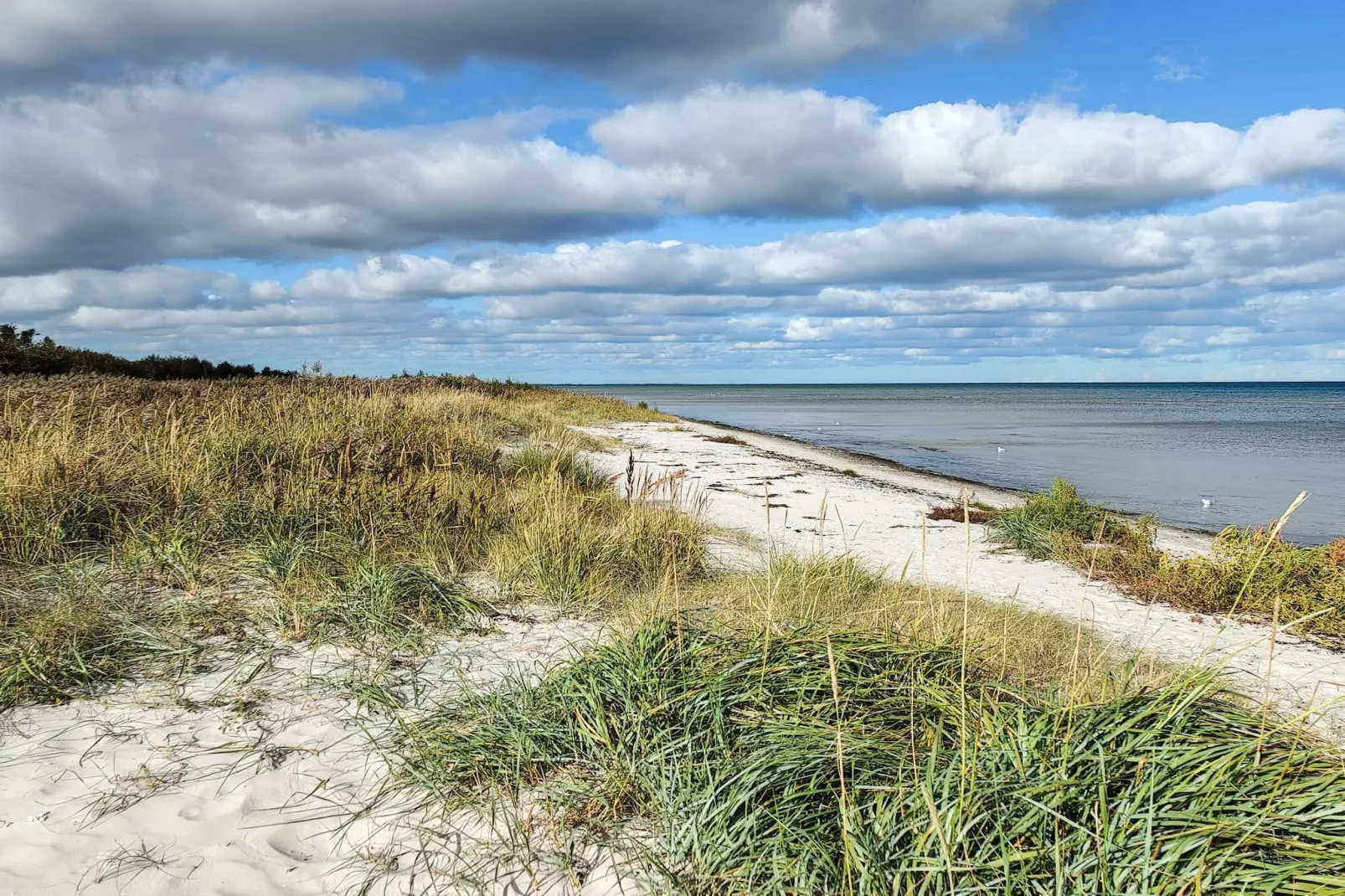 12 Personen Ferienhaus in Hadsund-By Traum