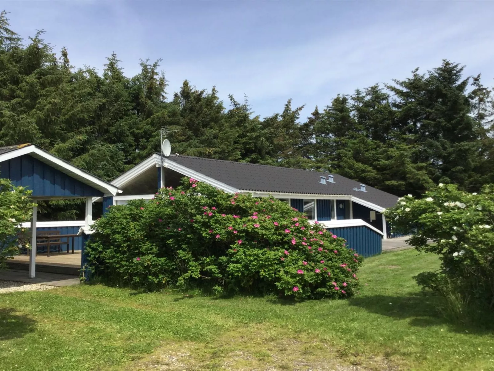 "Sari" - 600m from the sea