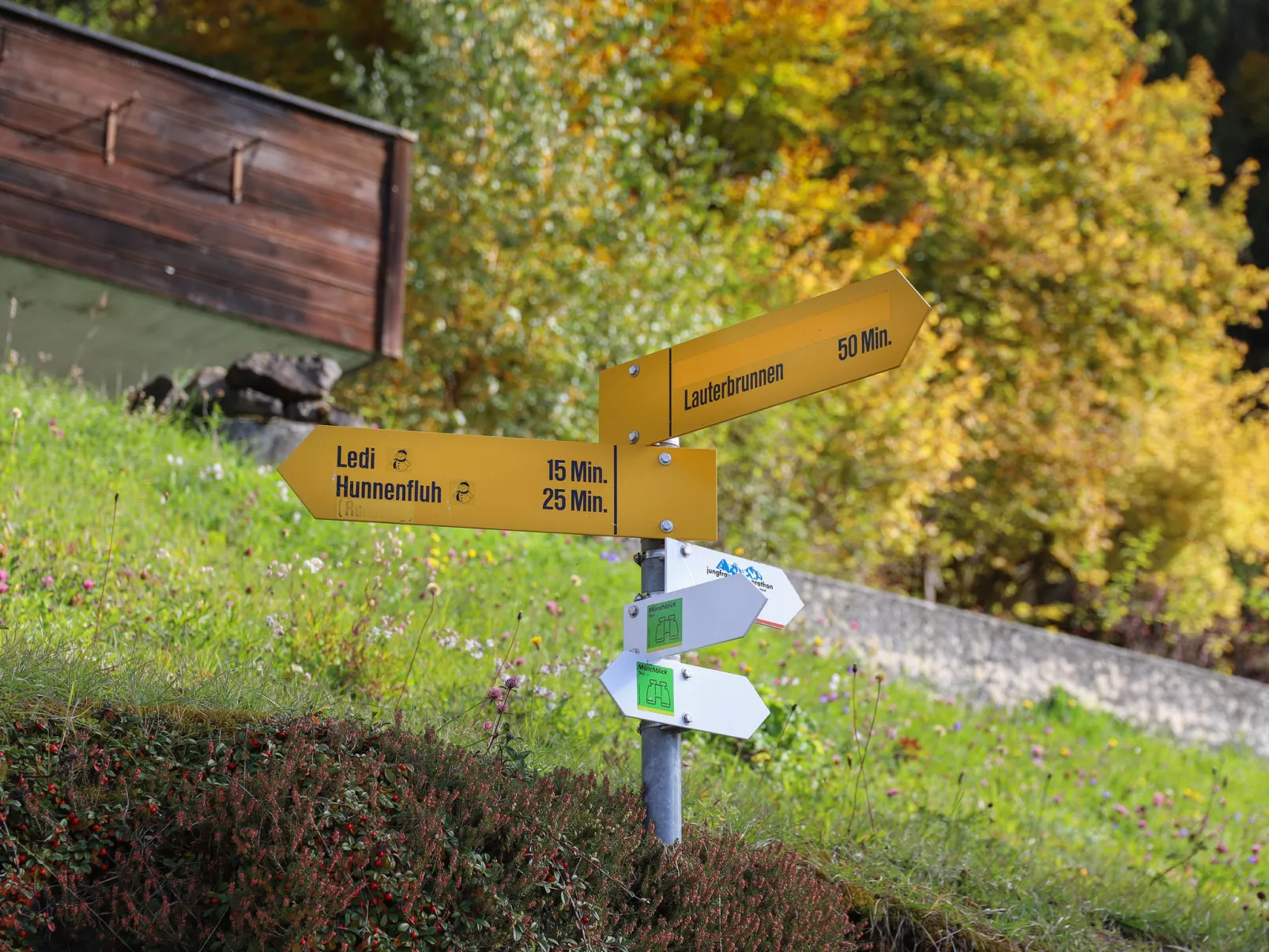 Helene Apt Diana-Outside