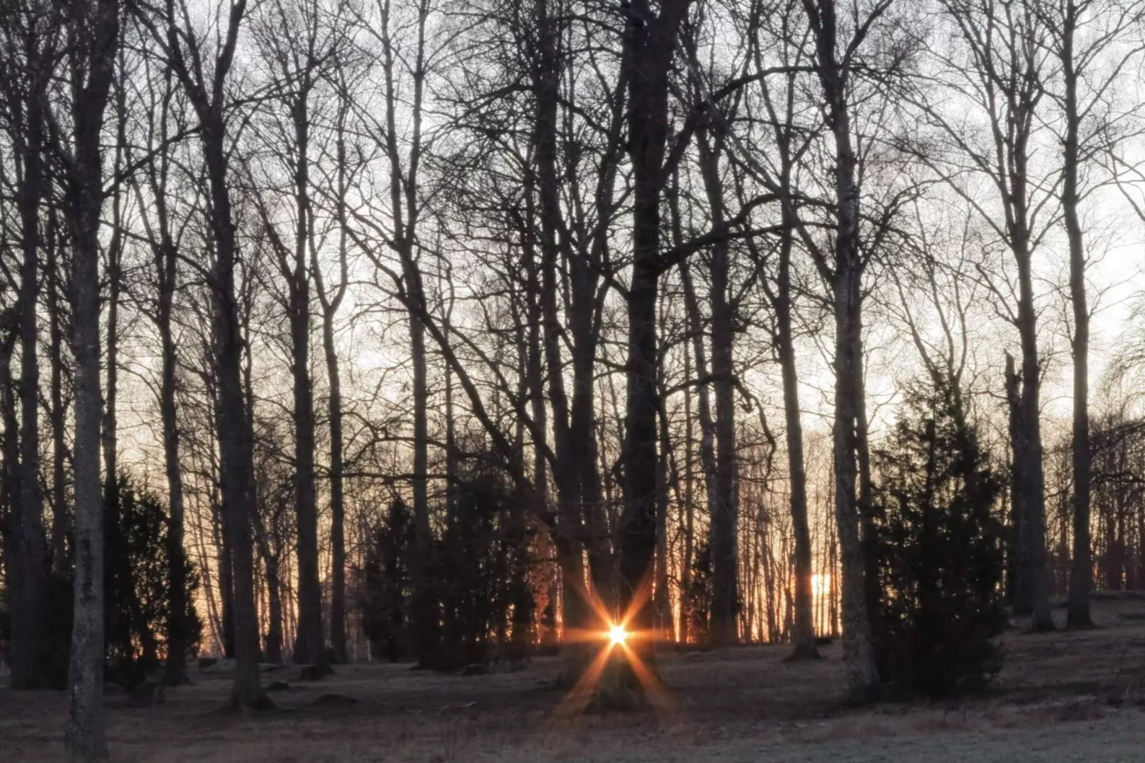 Maison de vacances pour 6 a HAMMARÖ-By Traum