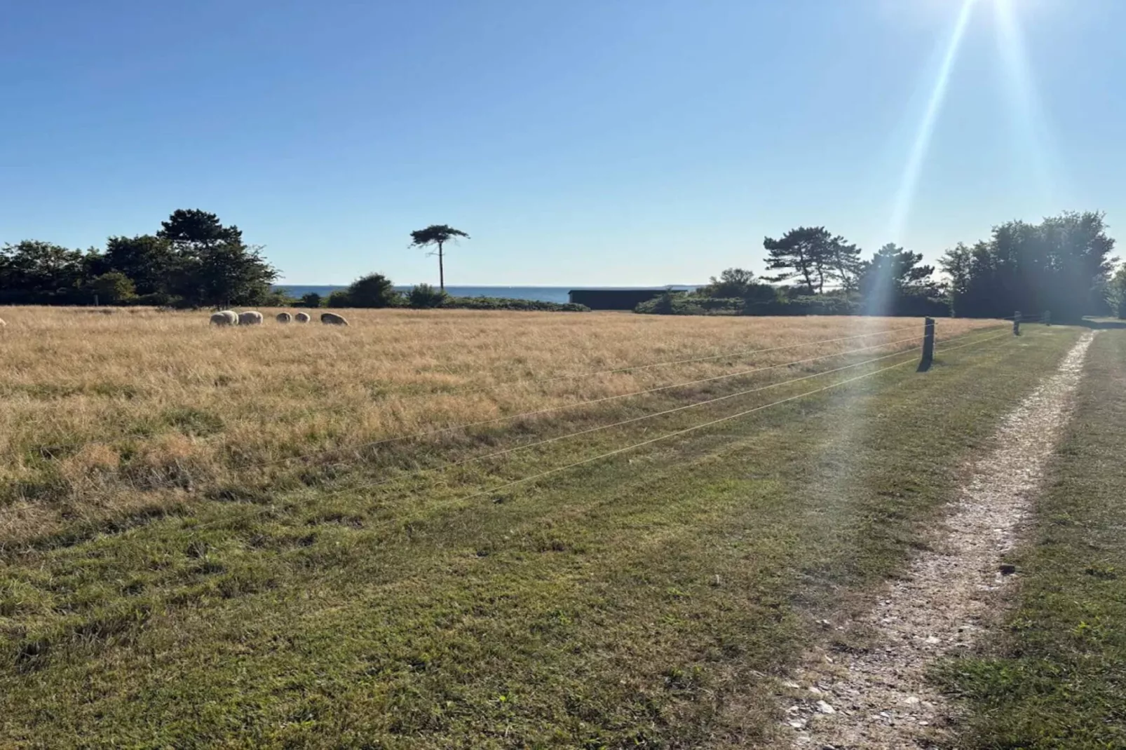 10 Personen Ferienhaus in Assens-By Traum-Wasserblick
