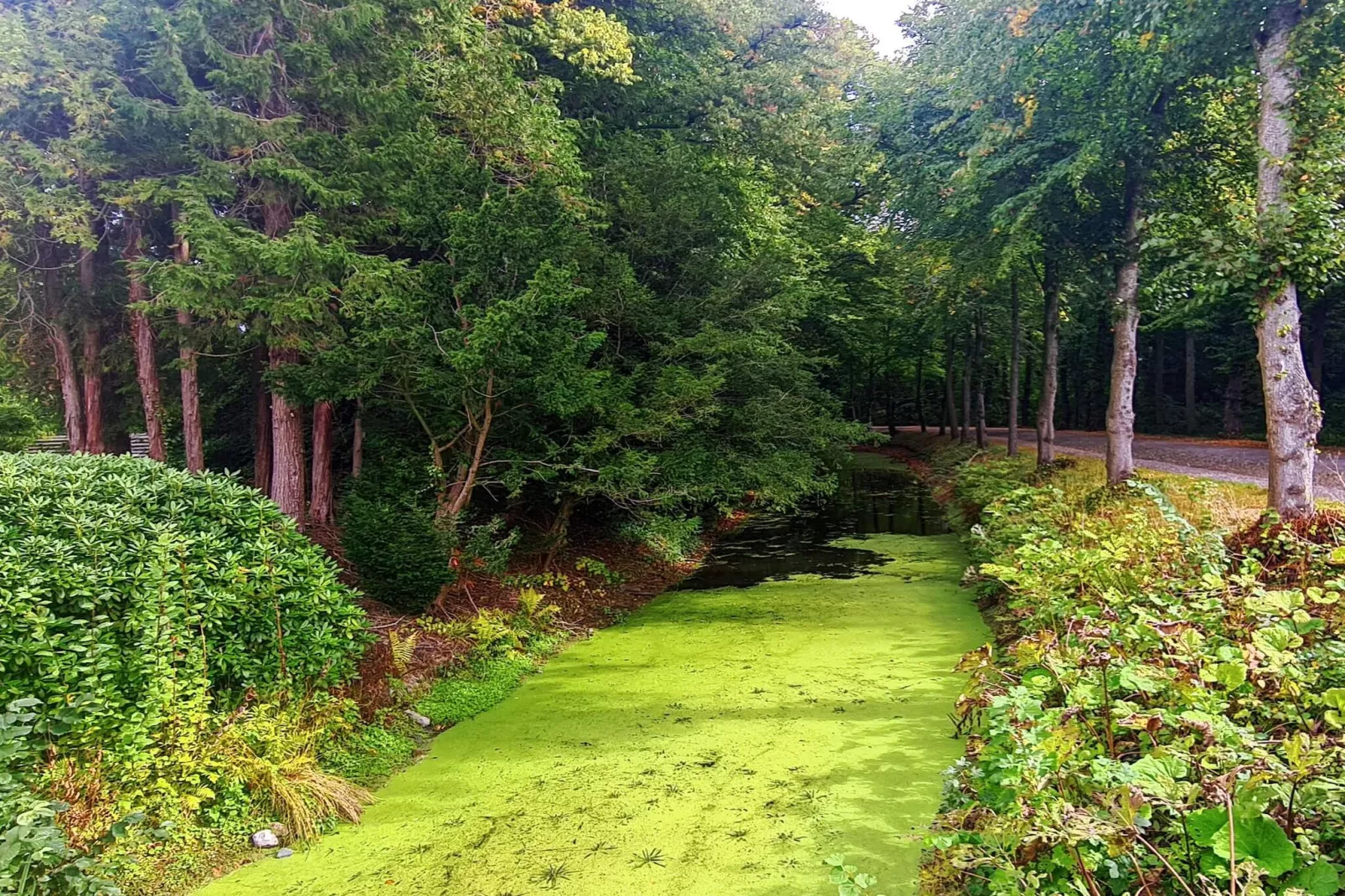 4 Personen Ferienhaus in Tønder-By Traum
