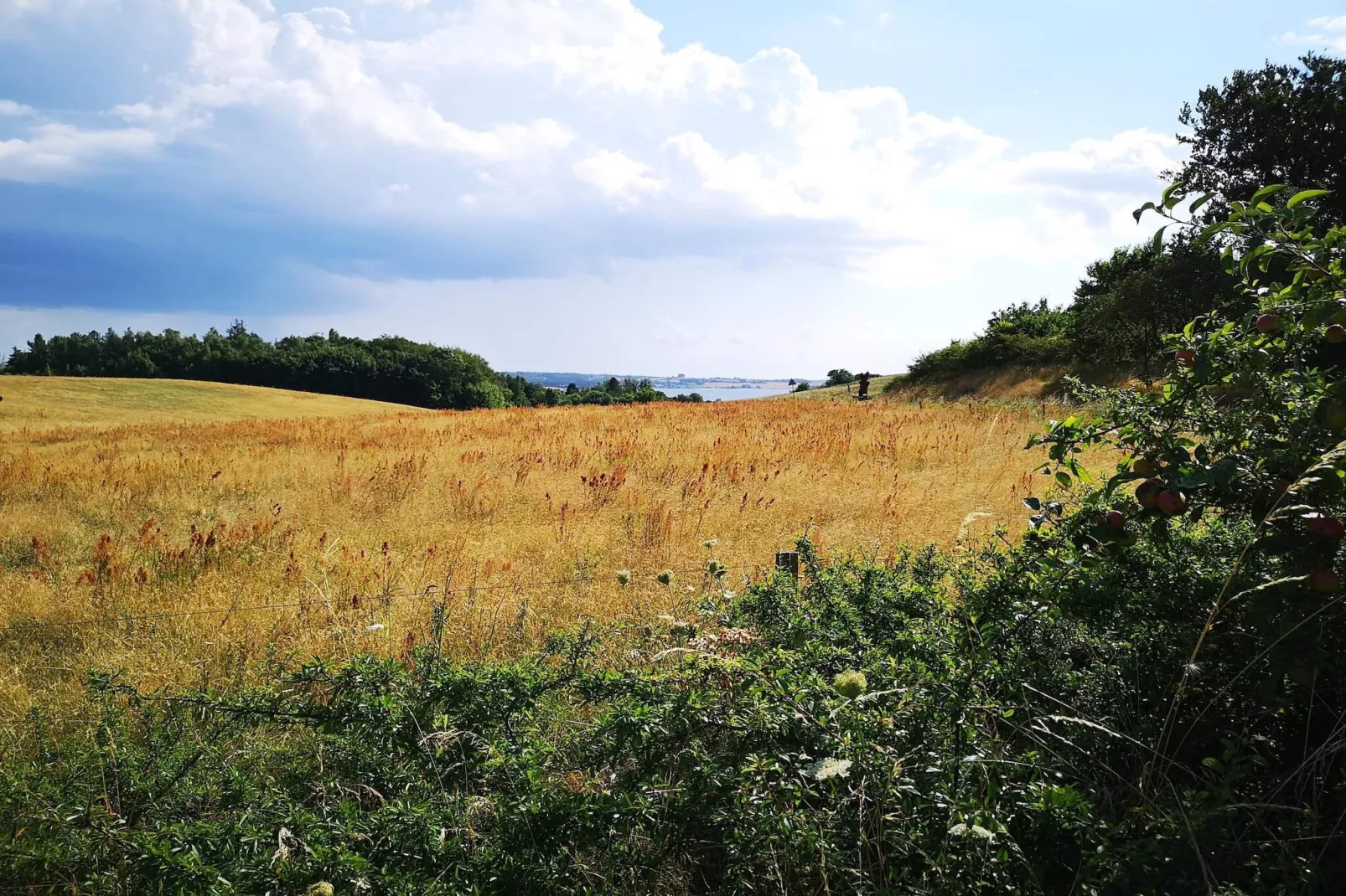 6 person holiday home in Knebel-By Traum-Untagged