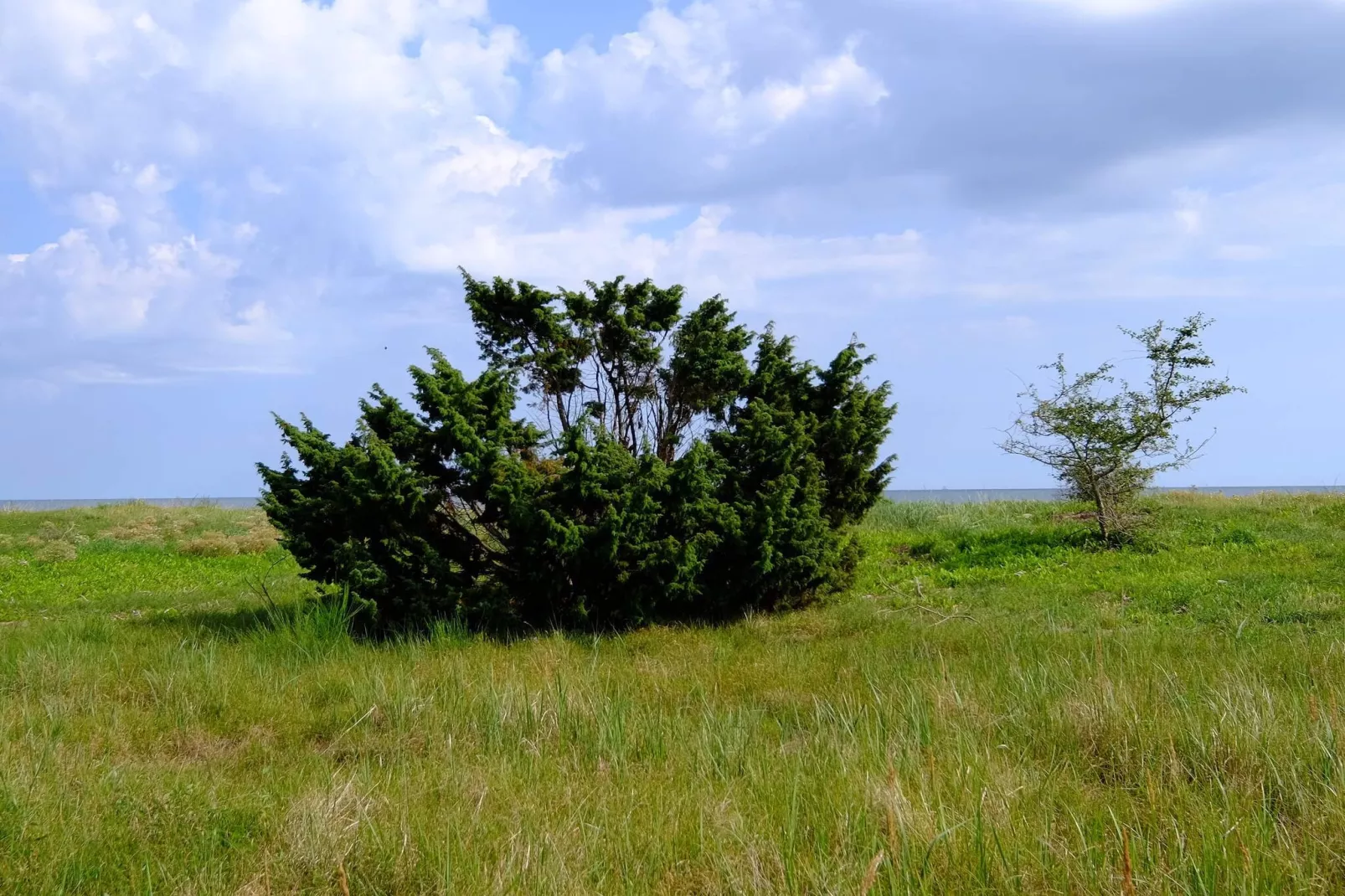 Chalet lumineux avec spa -- By Traum Ferienwohnungen