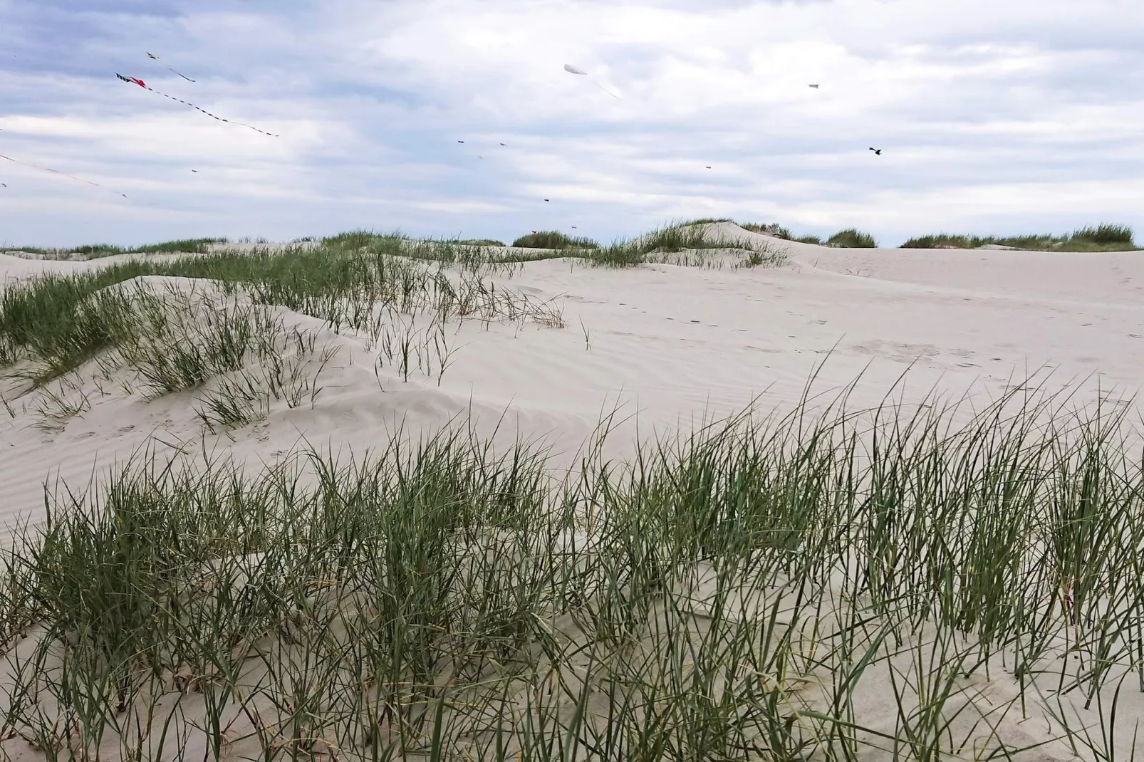 4 person holiday home in Fanø-By Traum