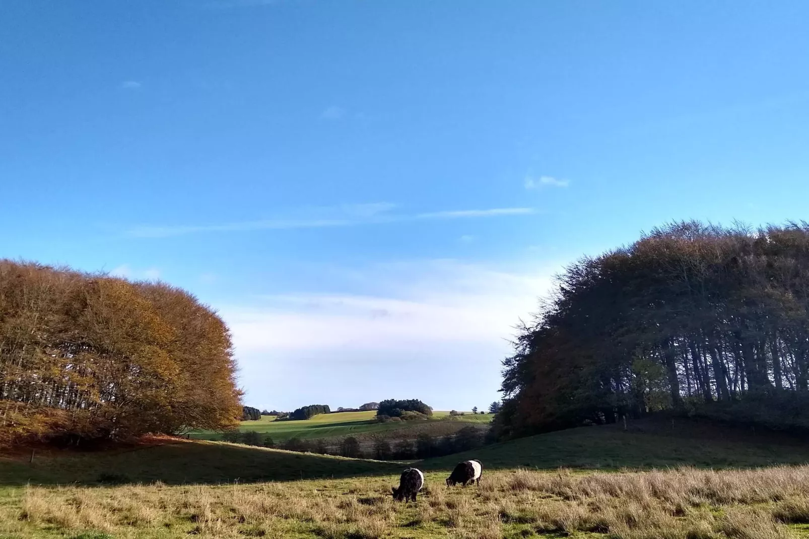 4 person holiday home in Østervrå-By Traum-Untagged