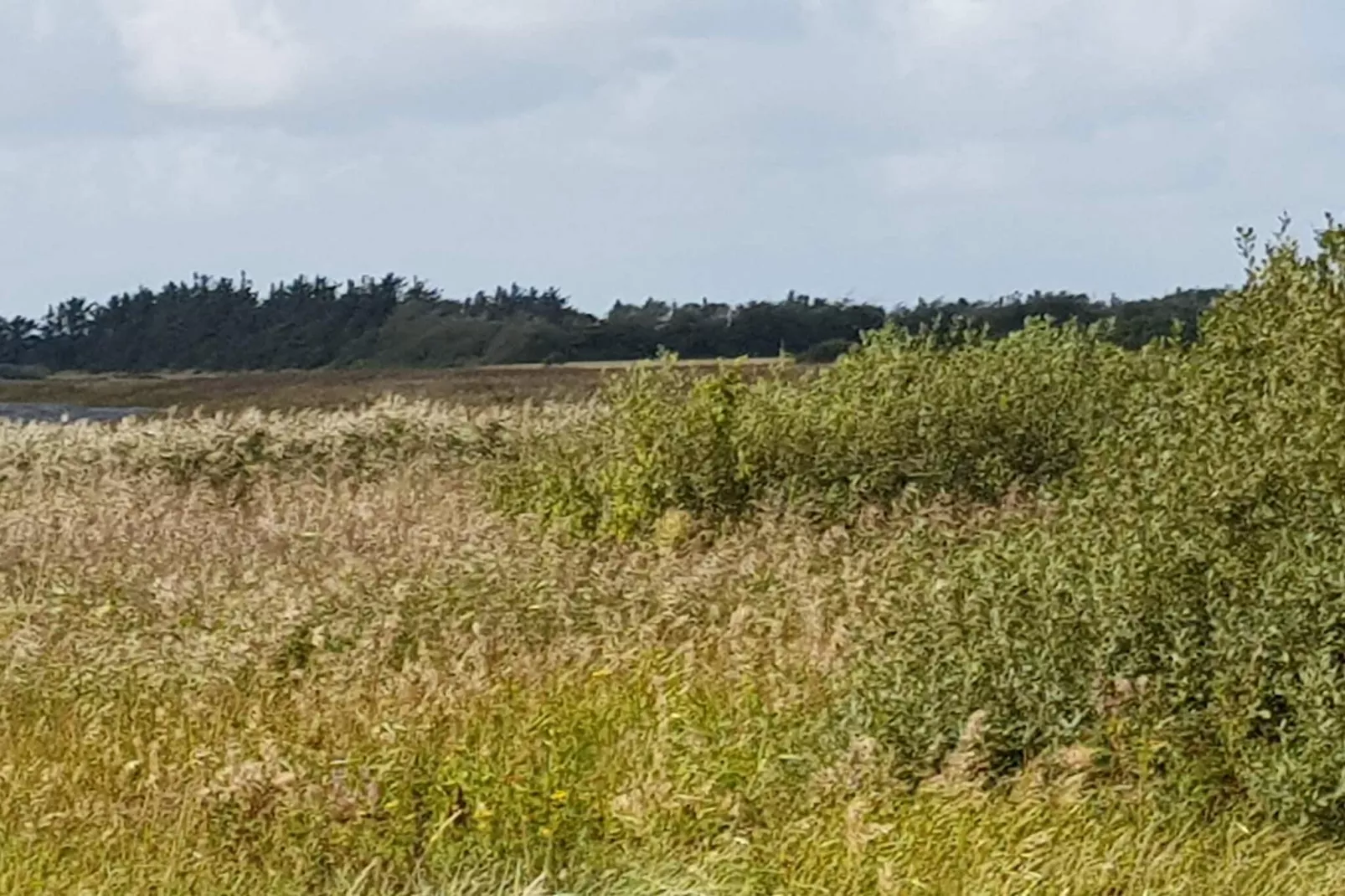 8 Personen Ferienhaus in Vemb