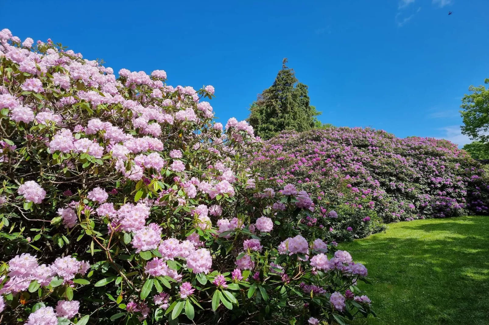 Retraite en bord de mer avec sauna -- By Traum Ferienwohnungen