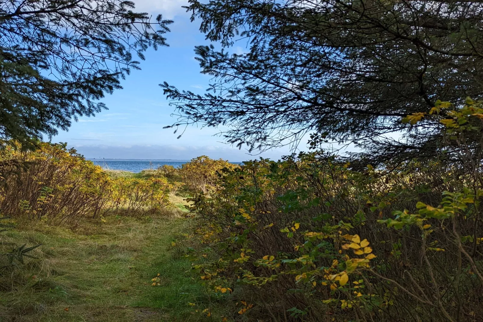 6 person holiday home in Thyholm-By Traum-Untagged