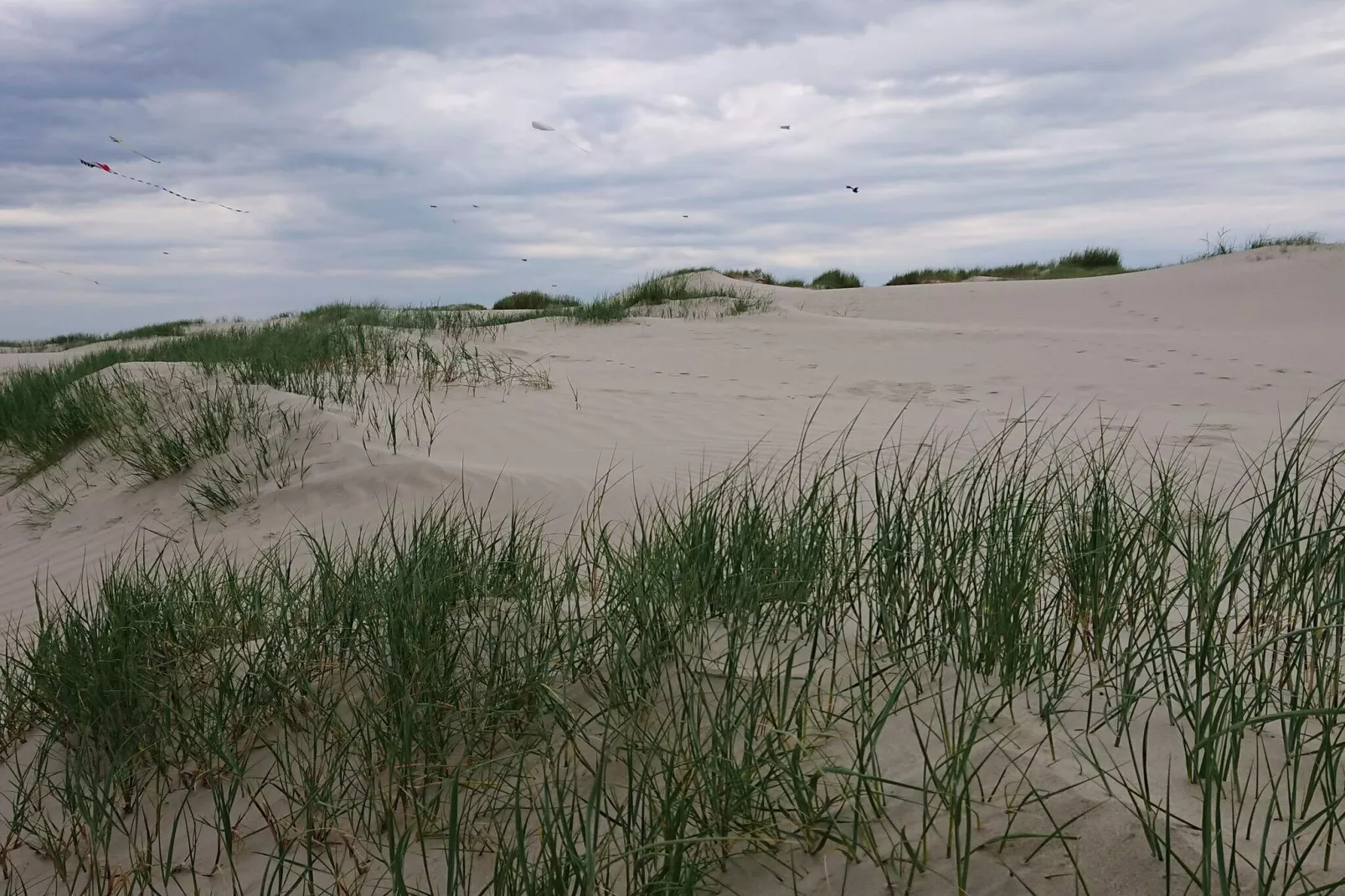6 Personen Ferienhaus in Fanø-By Traum-Nicht zugeordnet
