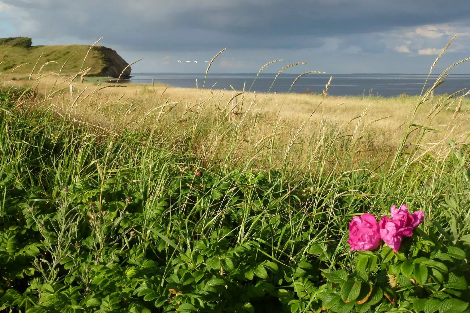 4 person holiday home in Thisted-By Traum-Untagged