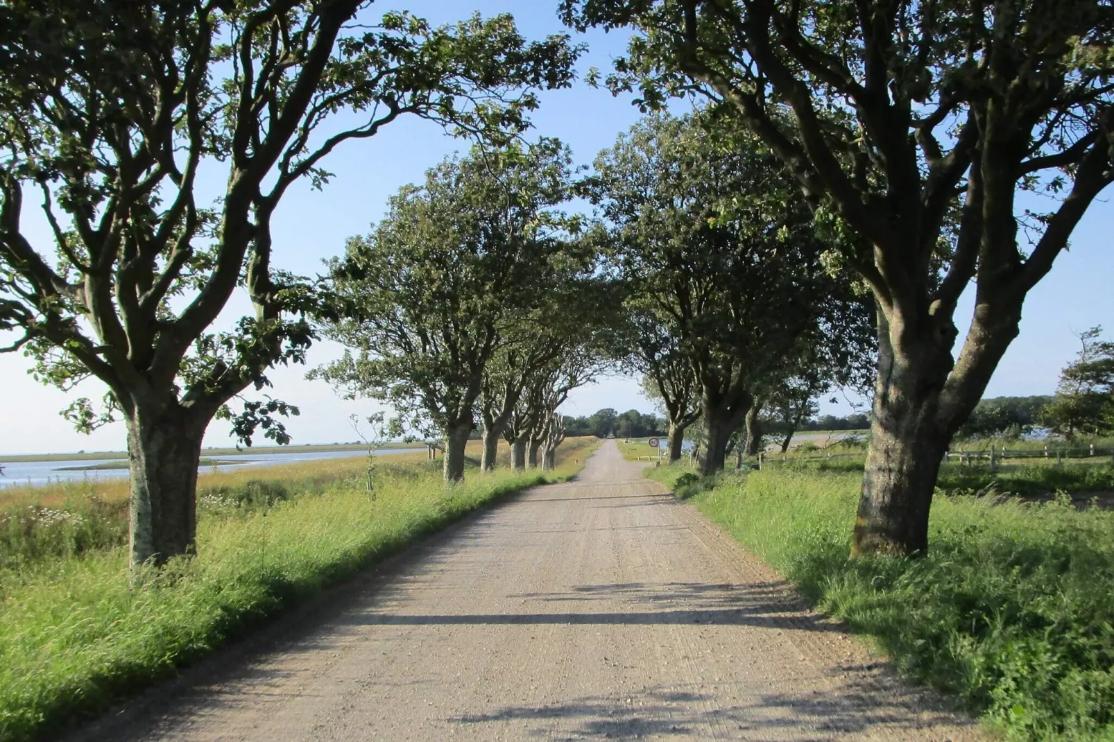 8 person holiday home in Bogense-By Traum-Untagged