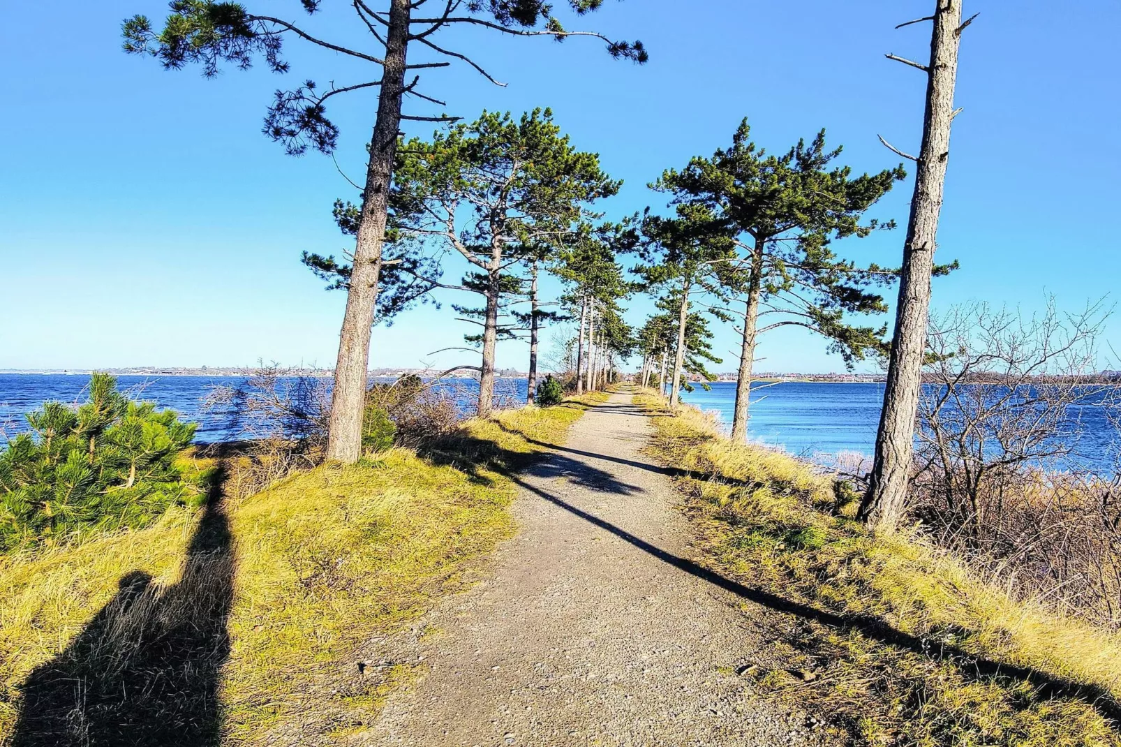 Maison de vacances pour 5 a Jægerspris-By Traum