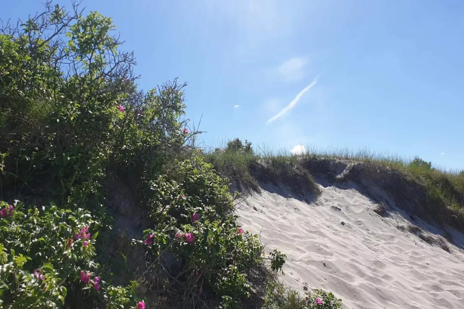 6 person holiday home in Dronningmølle-By Traum