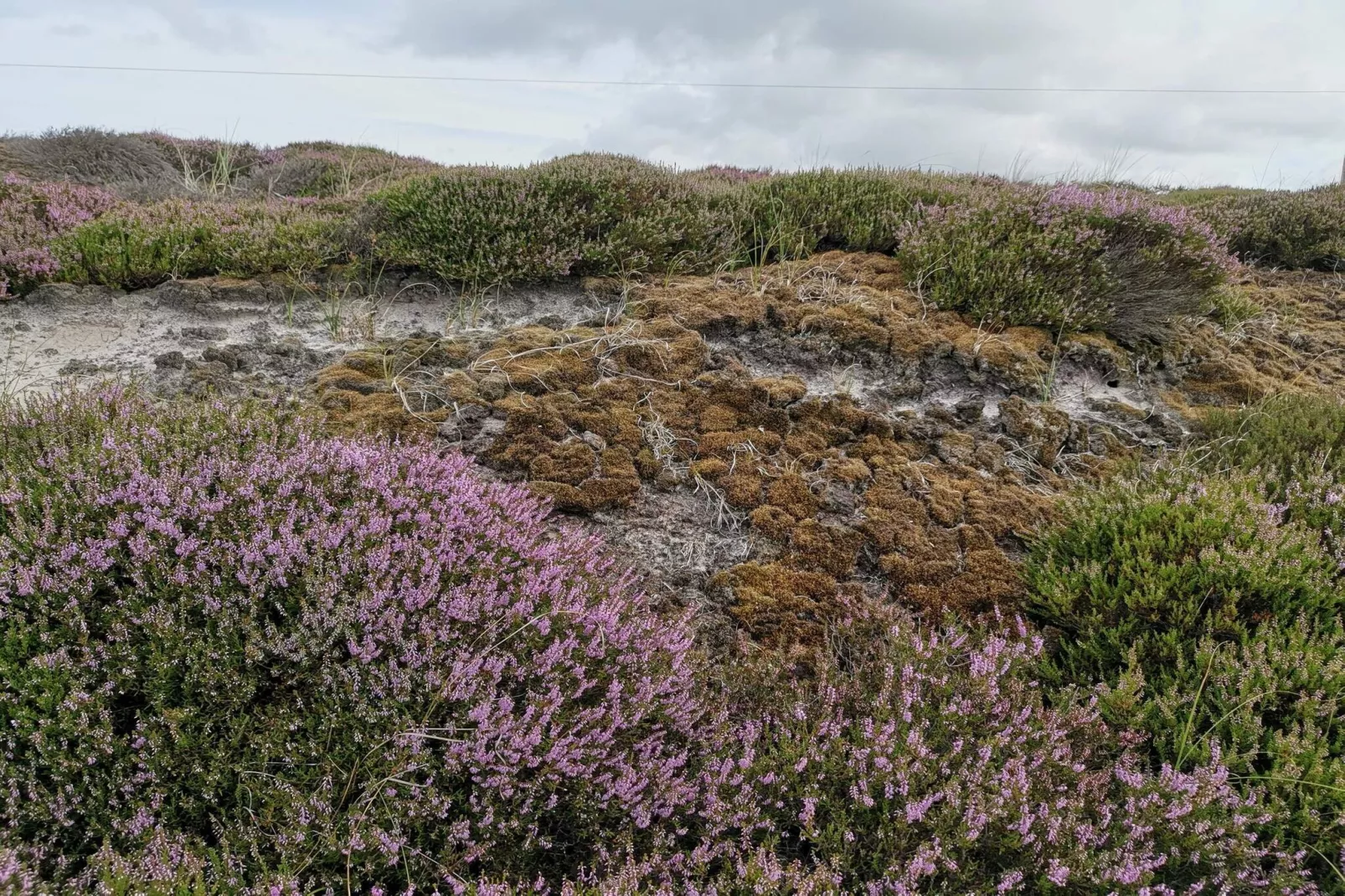 6 person holiday home in Henne-Untagged