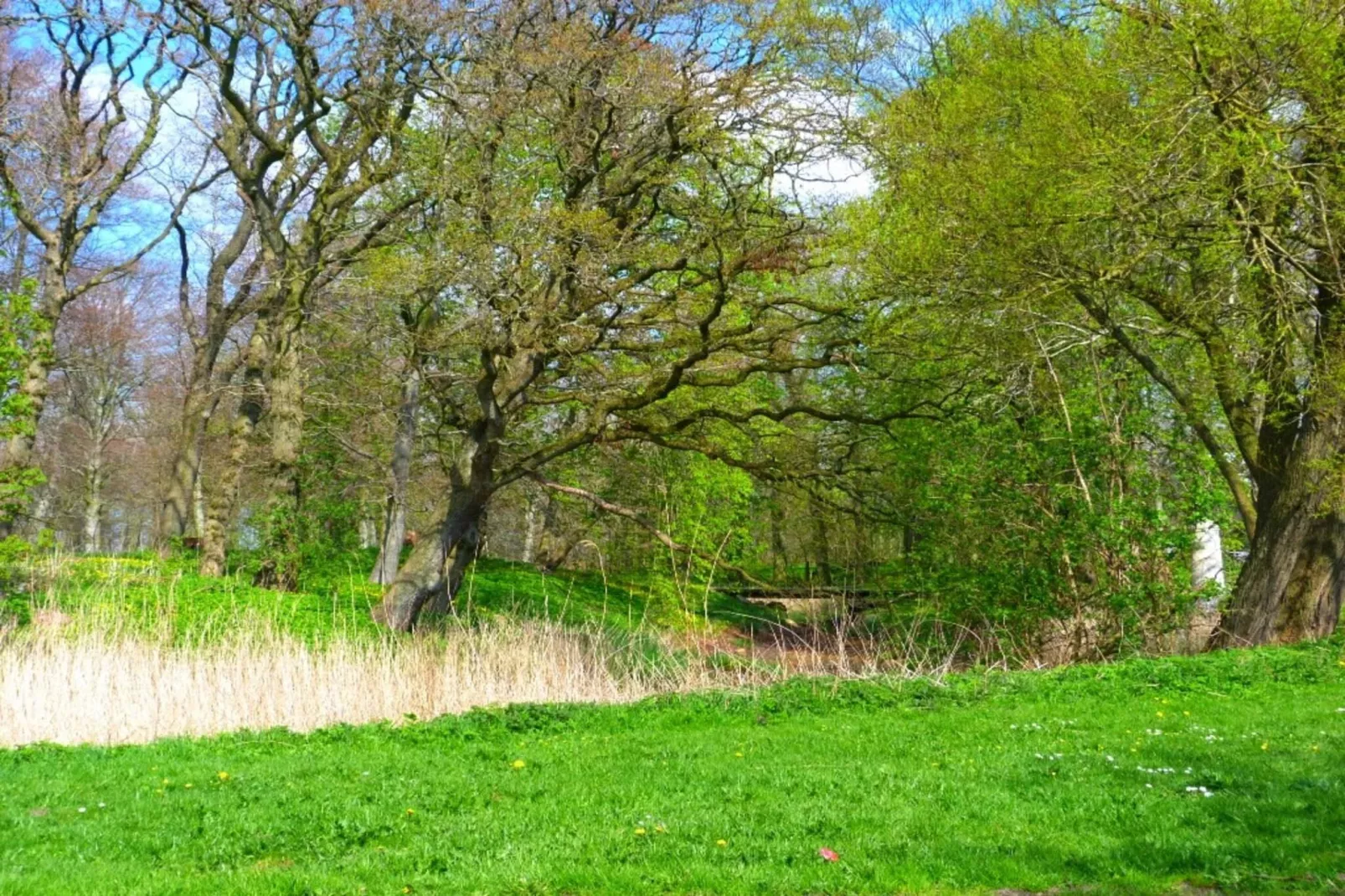 Ferienhaus für 6 Personen in Højer