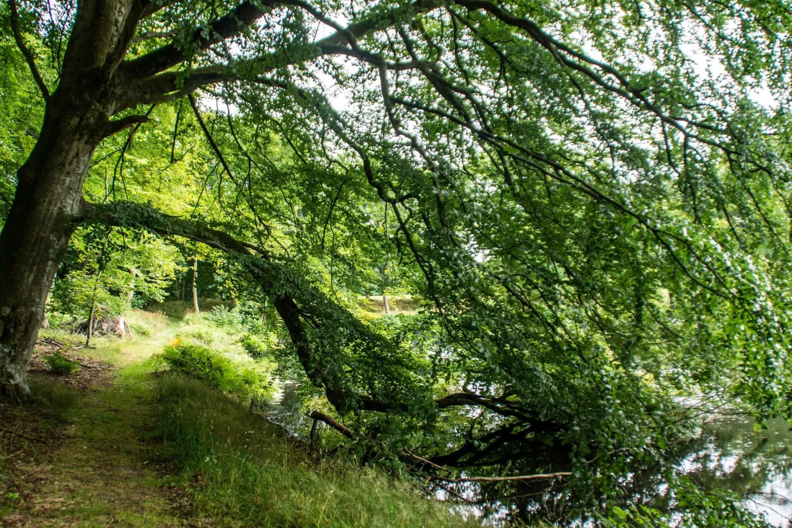 8 Personen Ferienhaus in Øster Assels-By Traum-Nicht zugeordnet