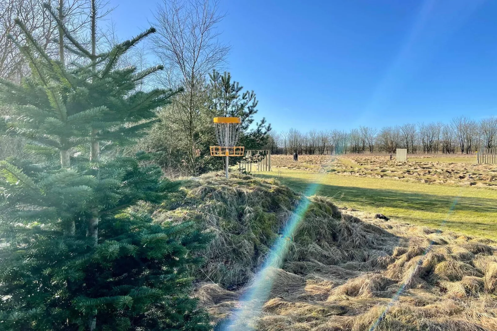 5 star holiday home in Grindsted-By Traum-Untagged