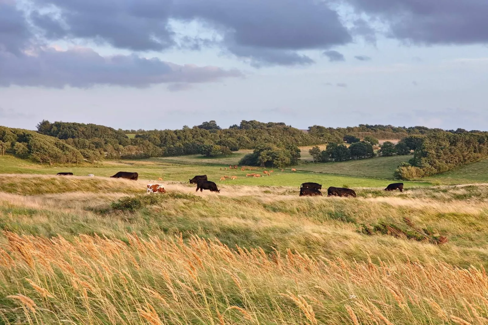 6 Personen Ferienhaus in Skals-By Traum-Im Freien
