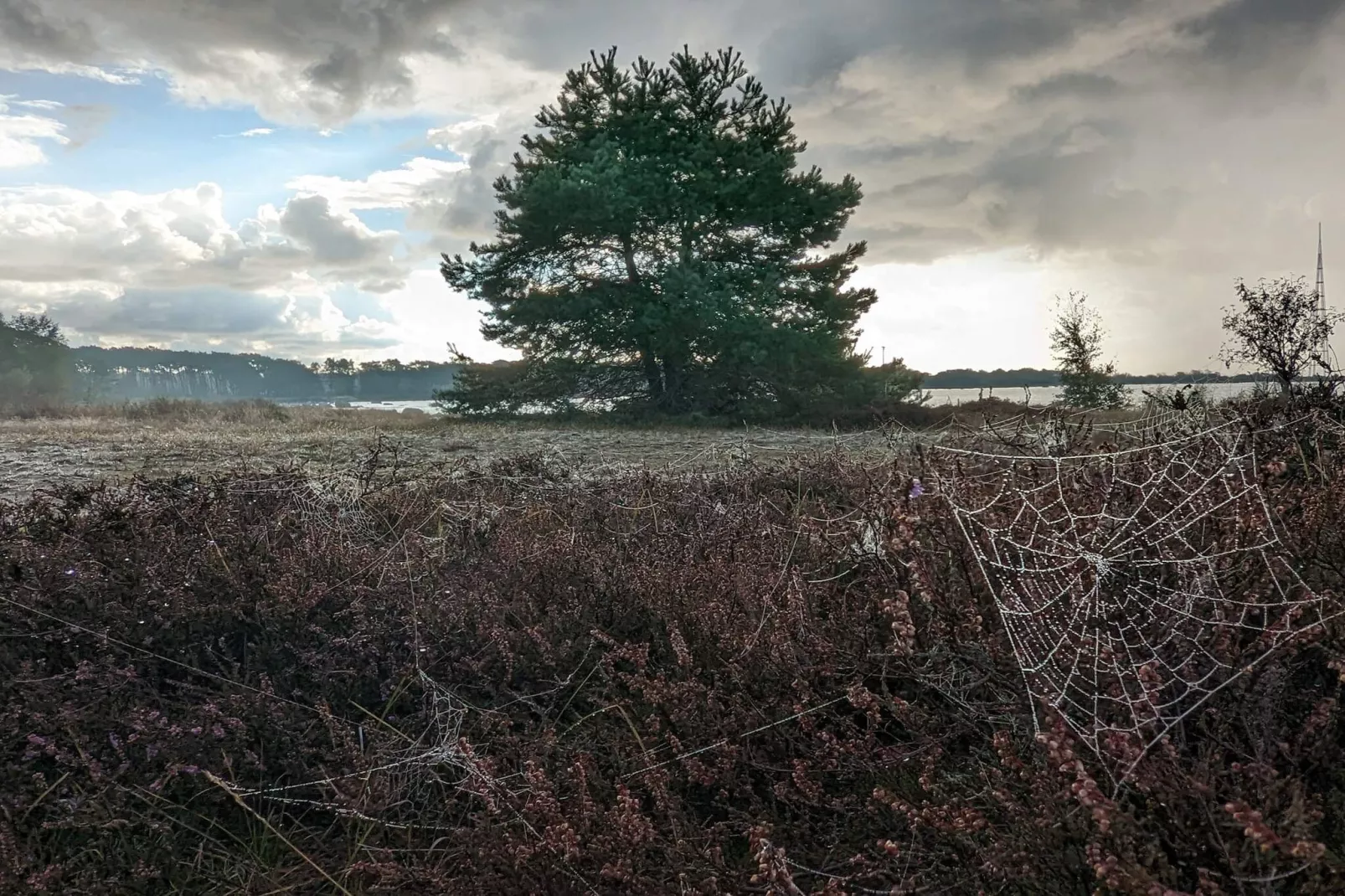 4 star holiday home in SÖLVESBORG-By Traum-Untagged