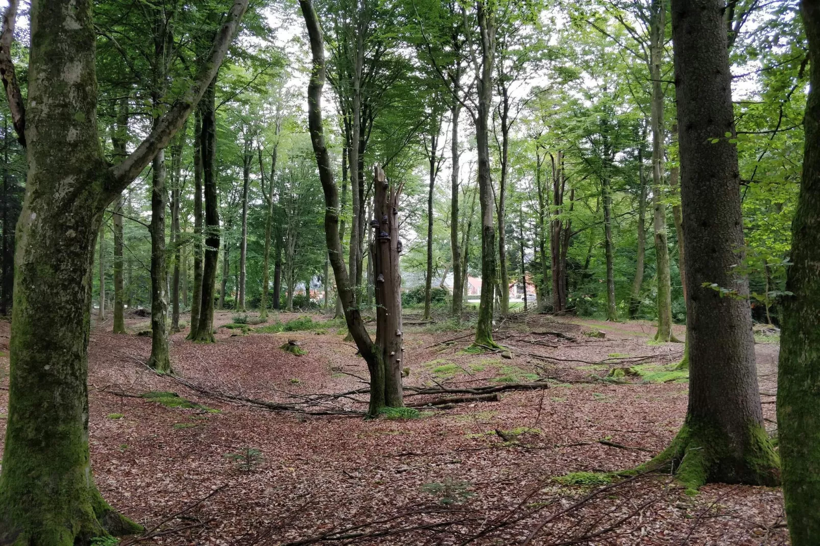 Lakefront Gem in Skarrild - By Traum Ferienwohnungen