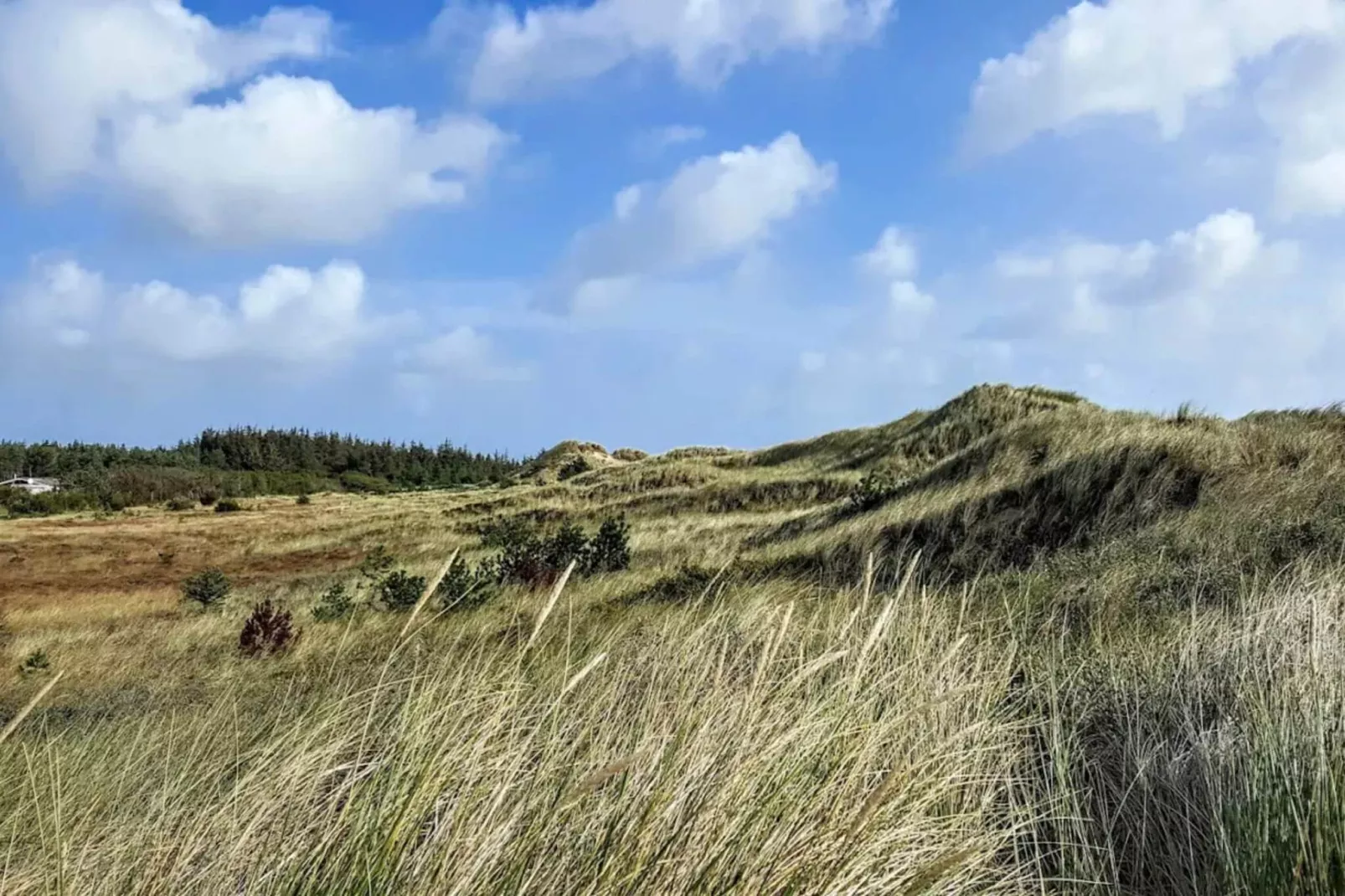 5 star holiday home in Ålbæk-By Traum-Untagged