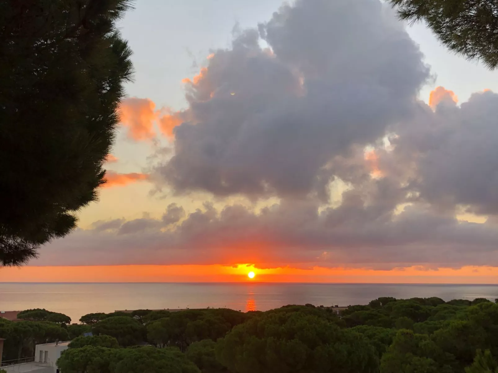 "Melis II M2 Playa de Pals"-Outside