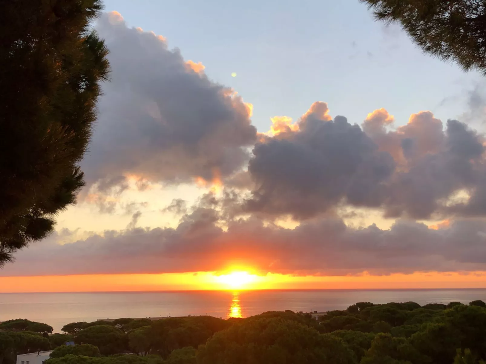 "Melis II M8 Playa de Pals"-Dehors