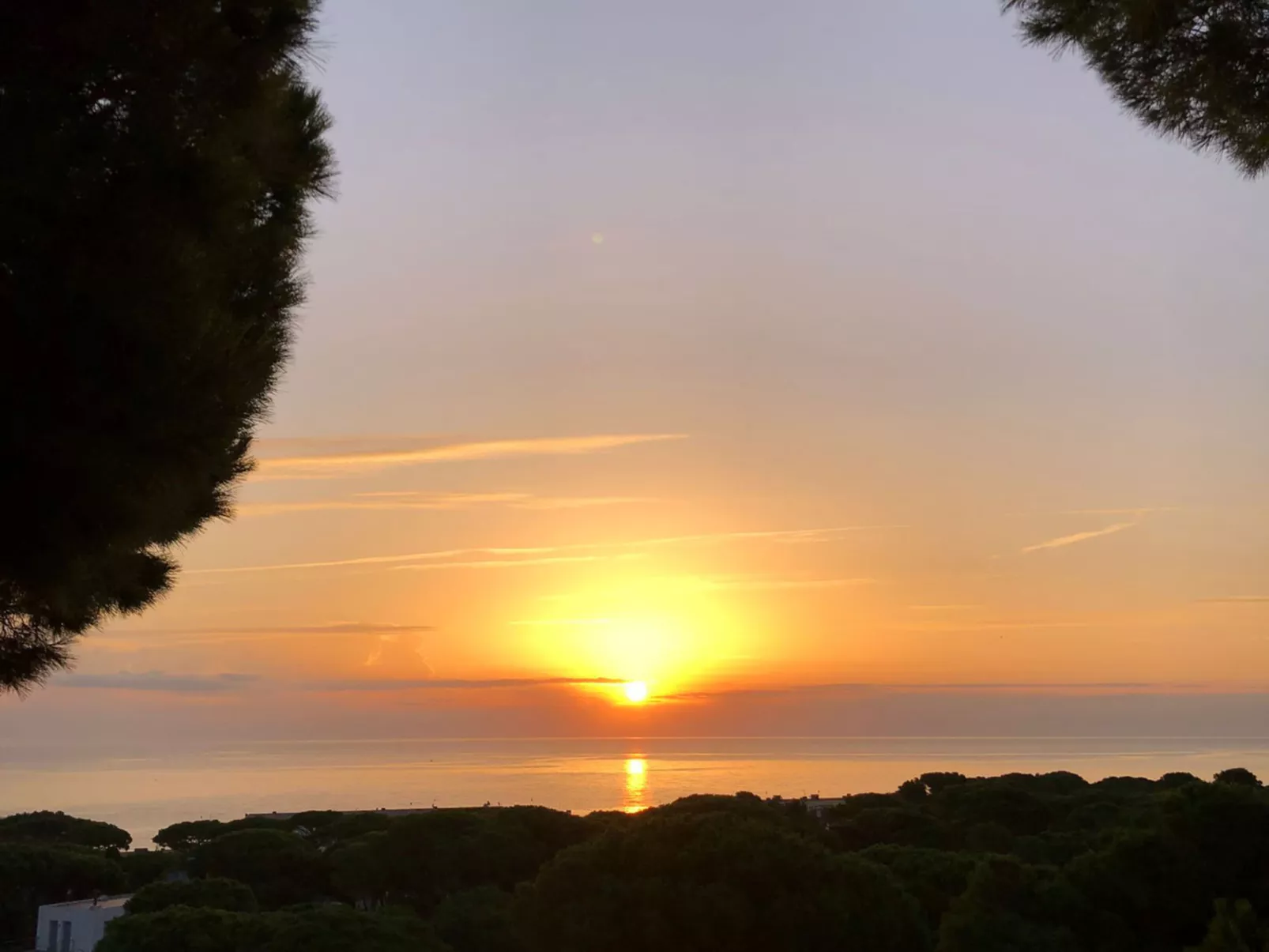 "Melis II M6-Playa de Pals"-Dehors