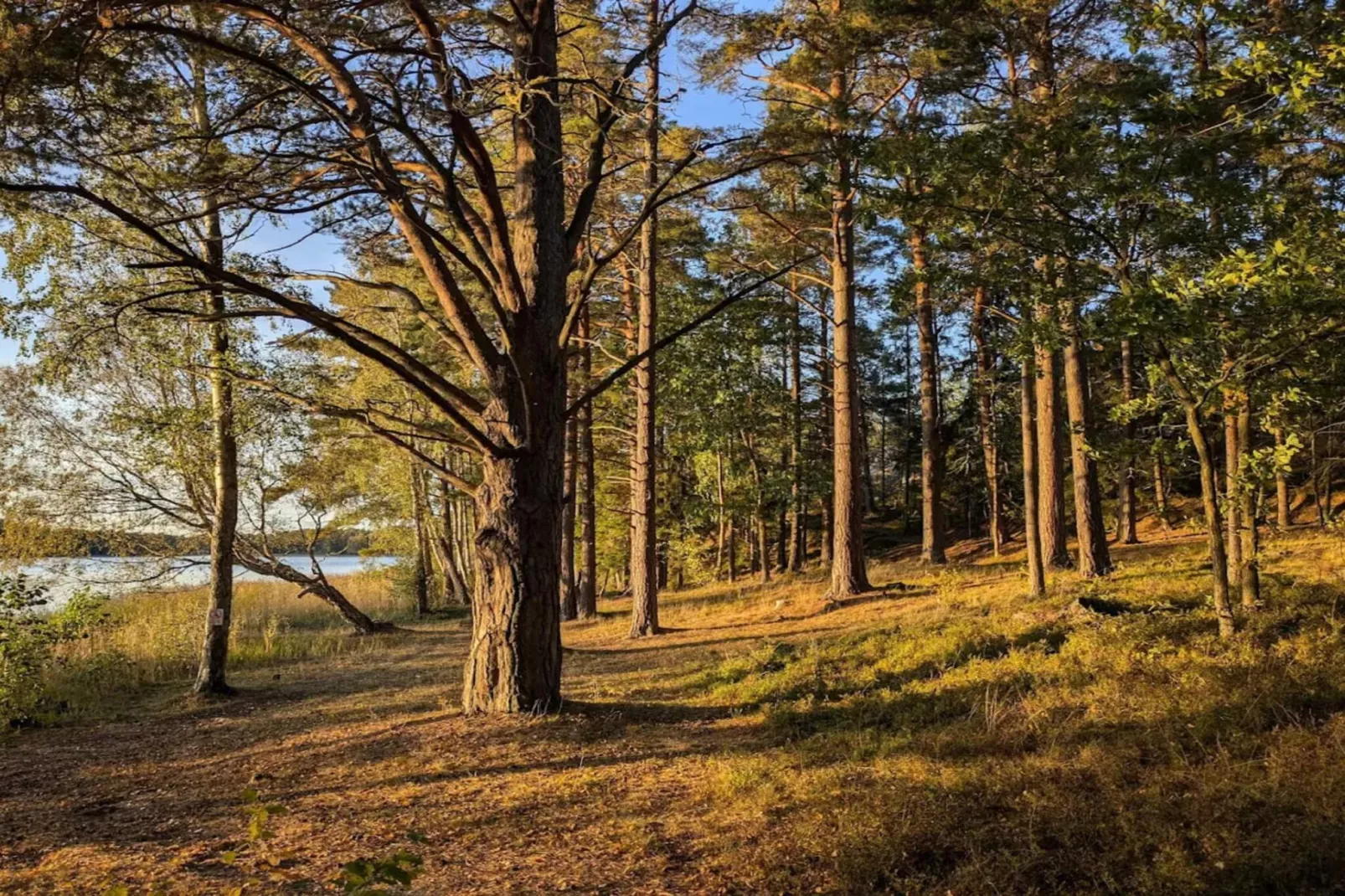 4 star holiday home in INGARÖ-By Traum - Untagged