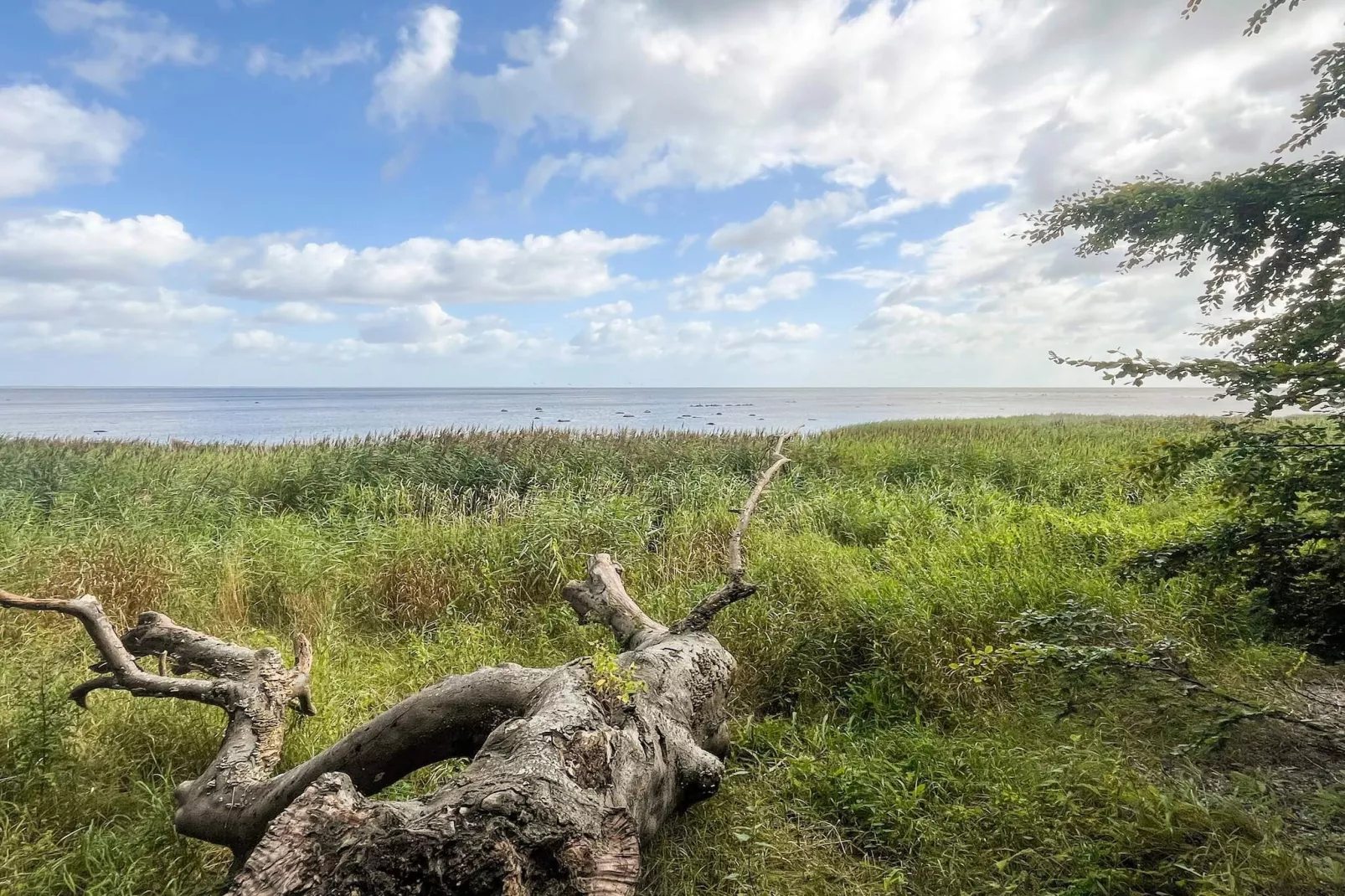 9 person holiday home in Præstø-By Traum