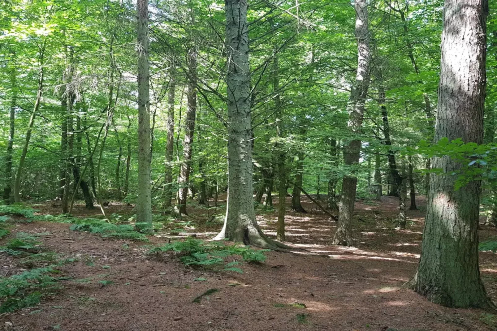 4 star holiday home in Thisted-By Traum-Untagged