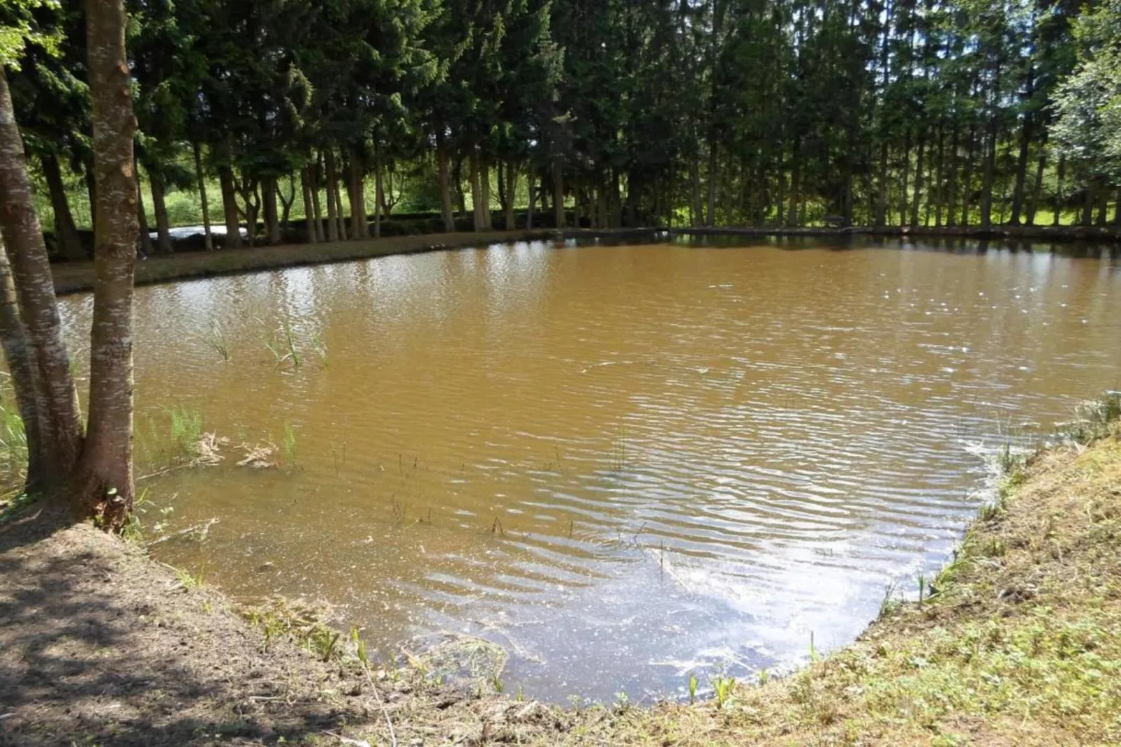 Domaine Des Messires 2-Areas within 1km in summer