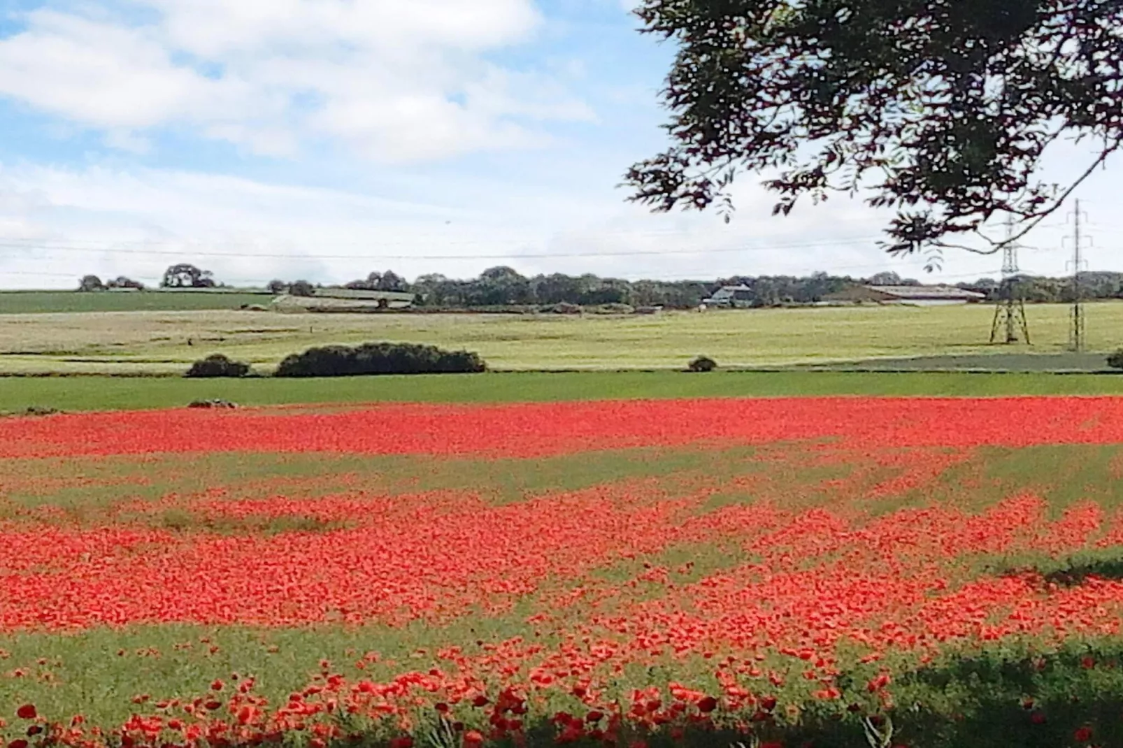 6 person holiday home in Frederiksværk-By Traum