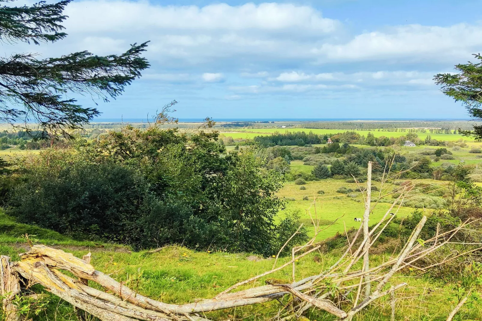 5 Personen Ferienhaus in Brovst-By Traum