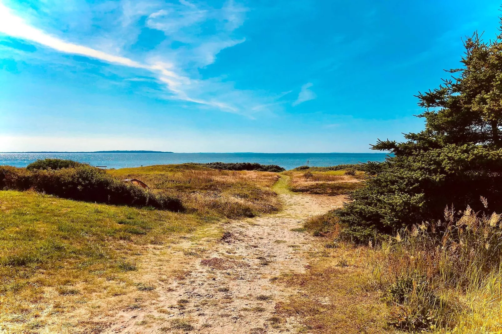 4 etoiles maison de vacances a Løgstør-By Traum-Extérieur