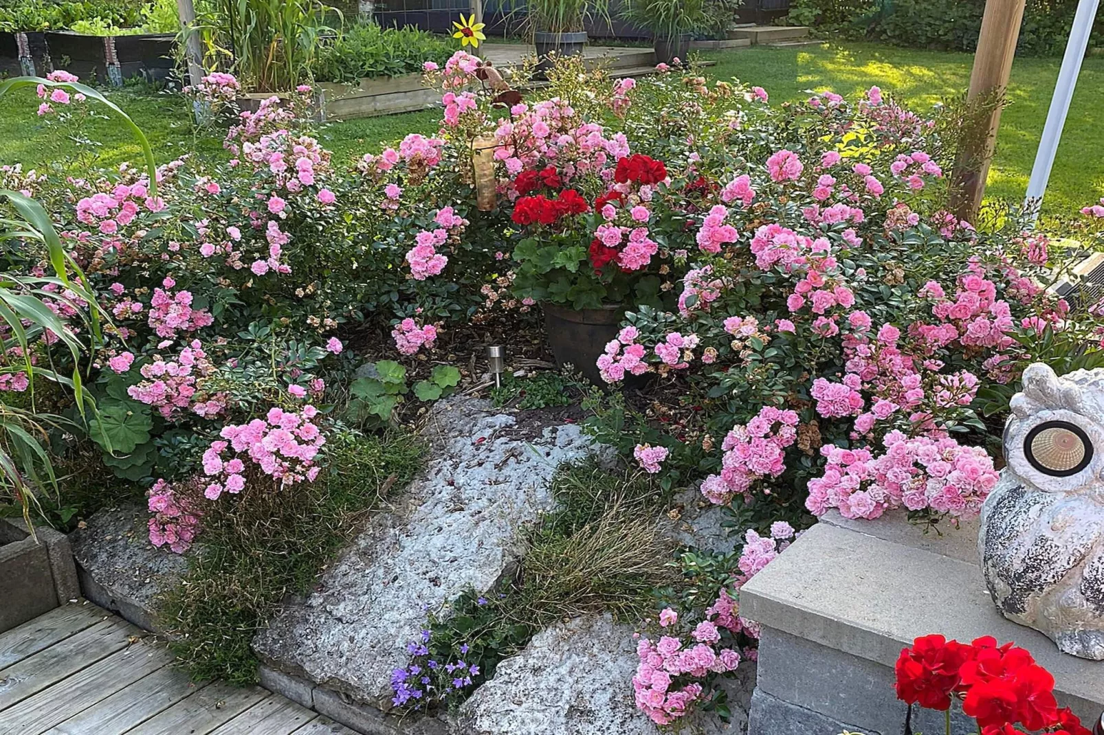 6 person holiday home in HÄLLEKIS-Outdoor