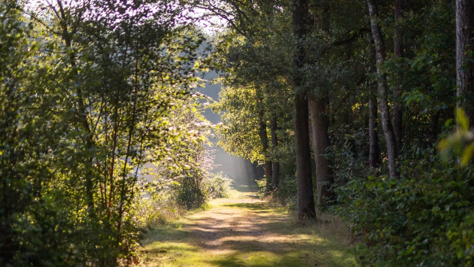 Safaritent 4-Areas summer 1km