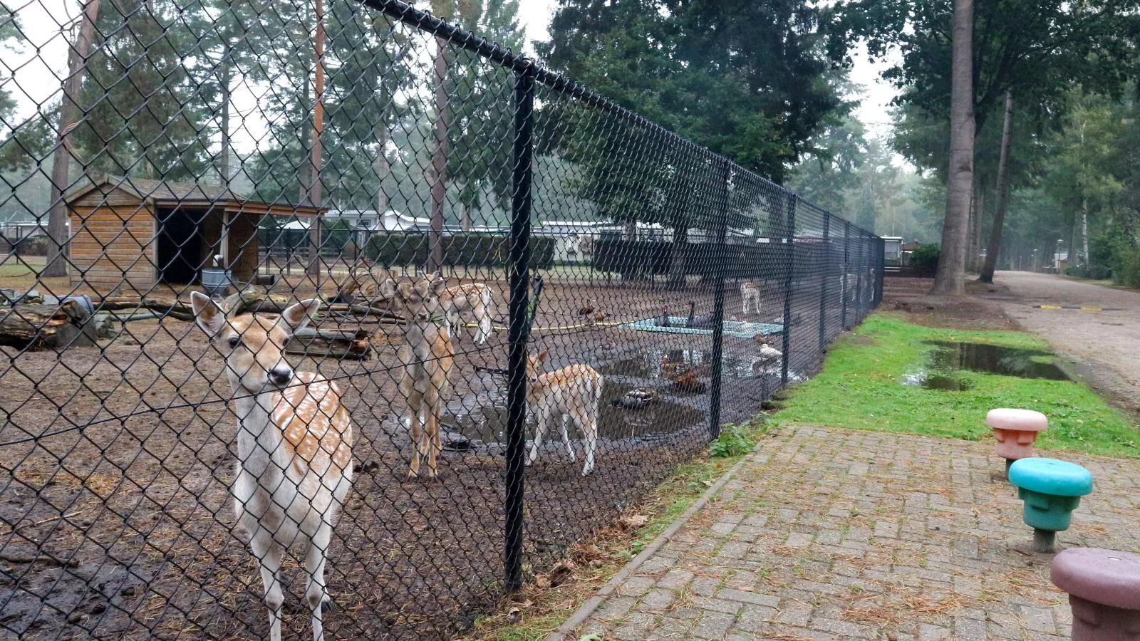 Safaritent 4-Park facilities