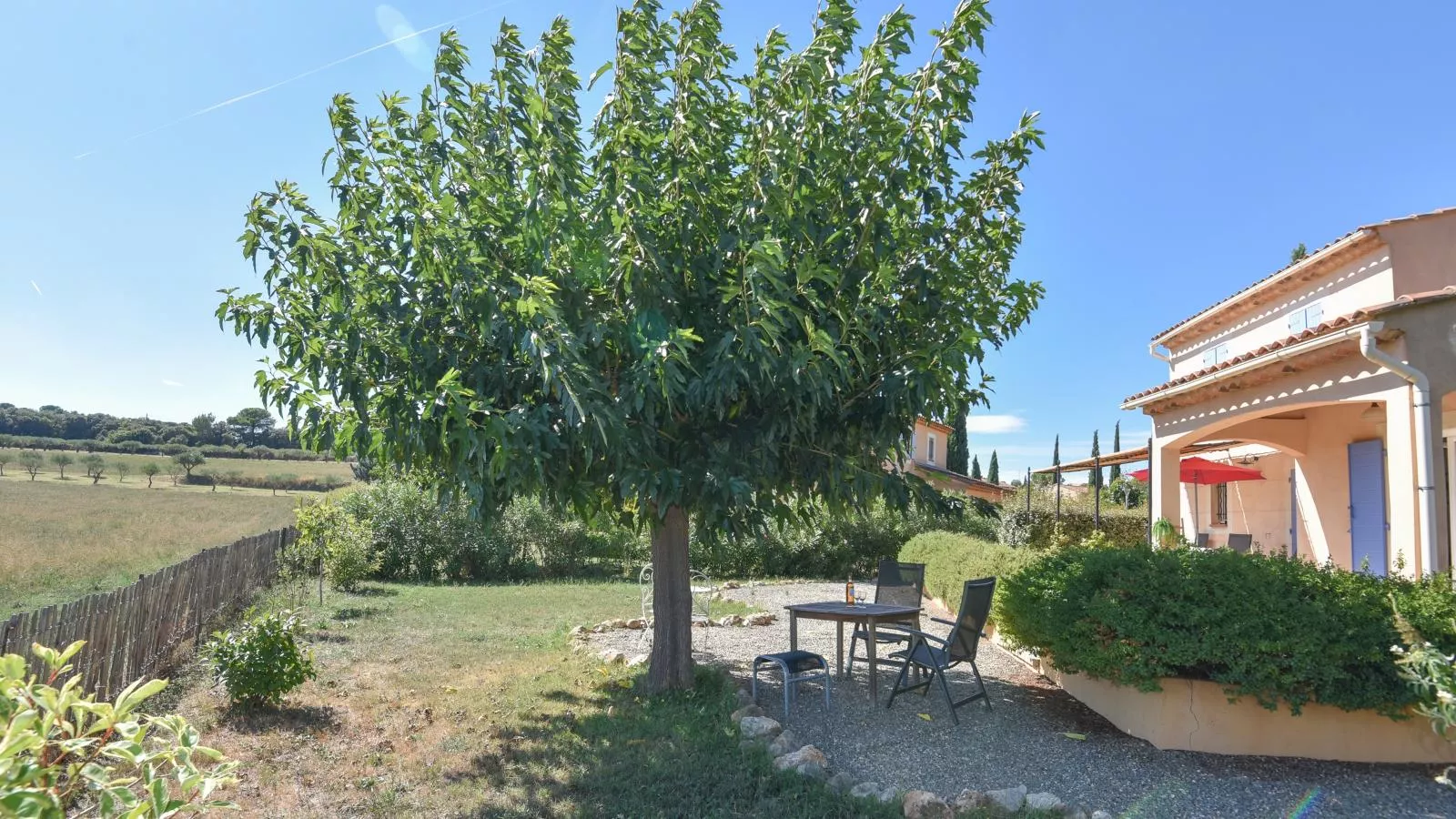 La petite truffe-Vue d'été