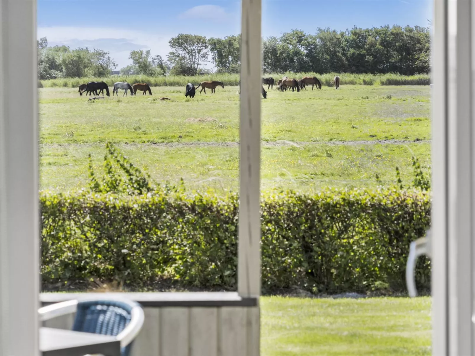 "Janin" - 400m from the sea